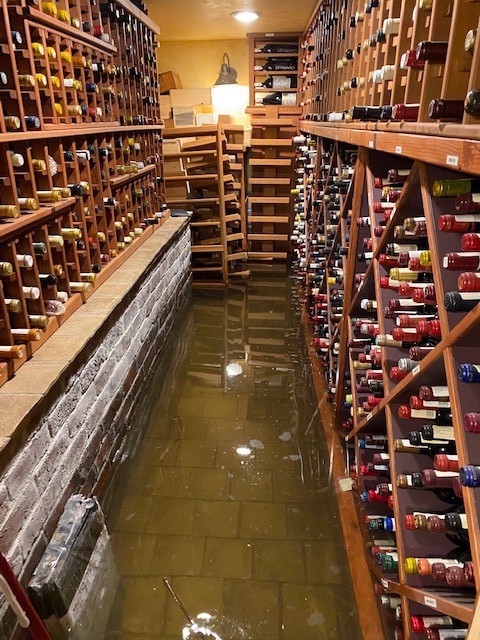 Flooded Cellar